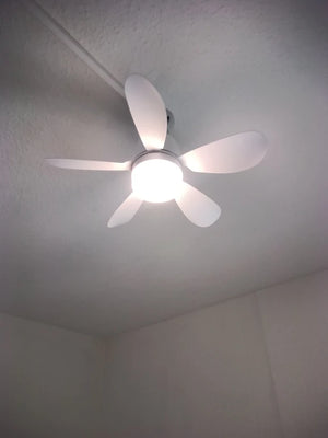 Af9b7b1d3601d4bd887c780405aae7787y.jpg