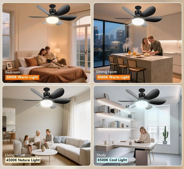 Stylish LED Ceiling Fan Light